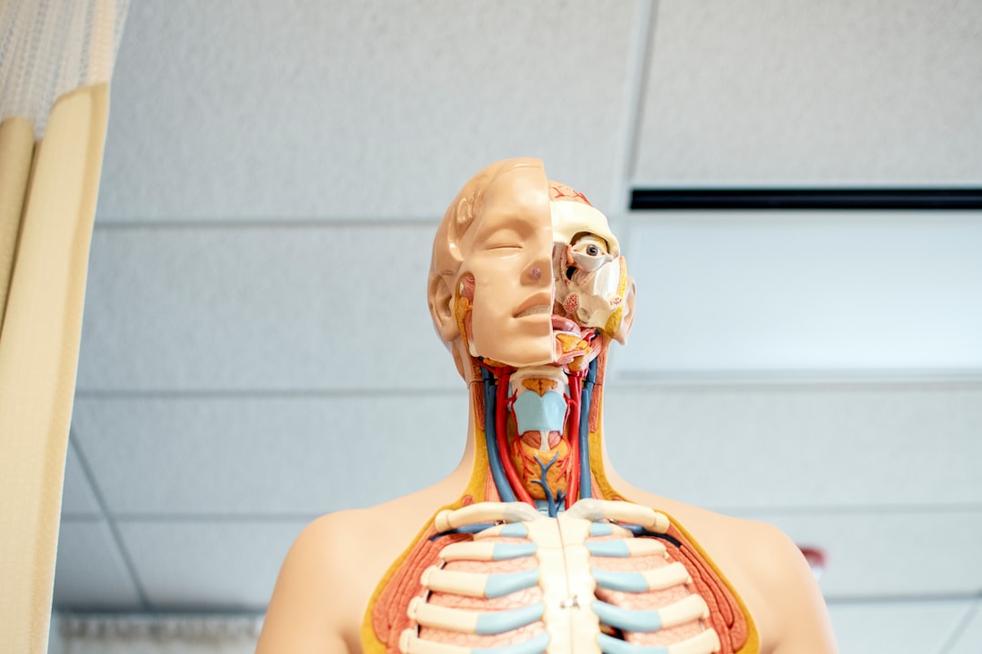 Anatomy and physiology study materials for the ATI TEAS Science section