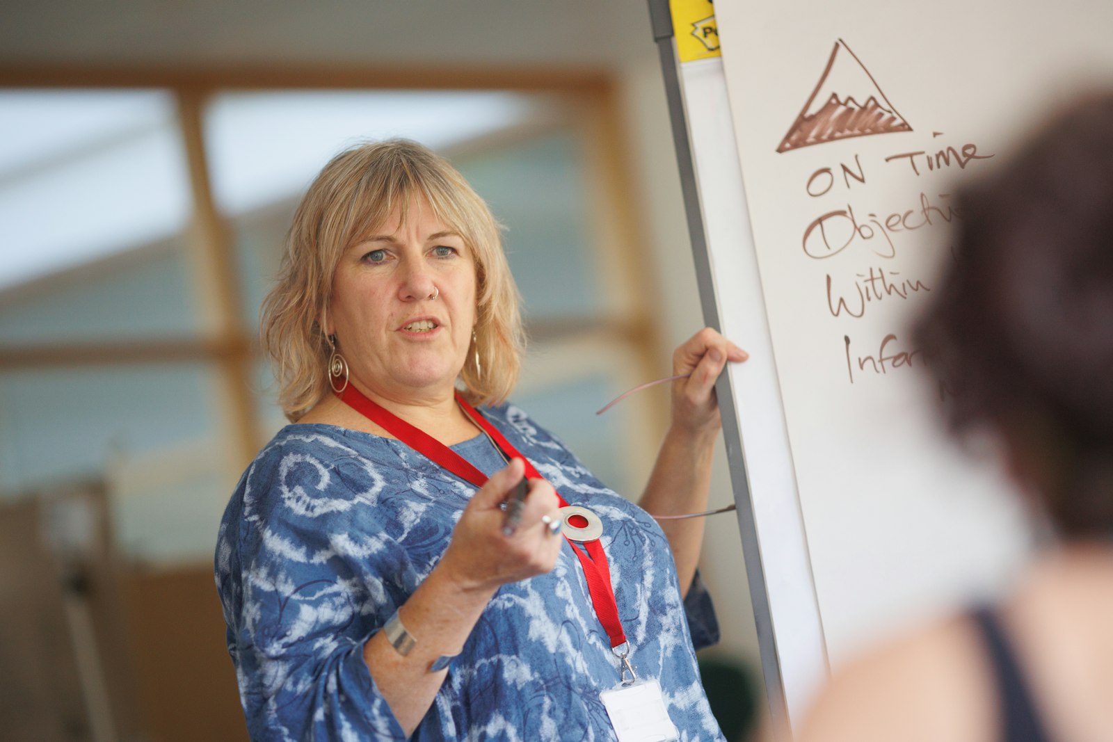 Staff development educator teaching at a flipchart, the clinical nurse educator role where the learners are colleagues rather than students